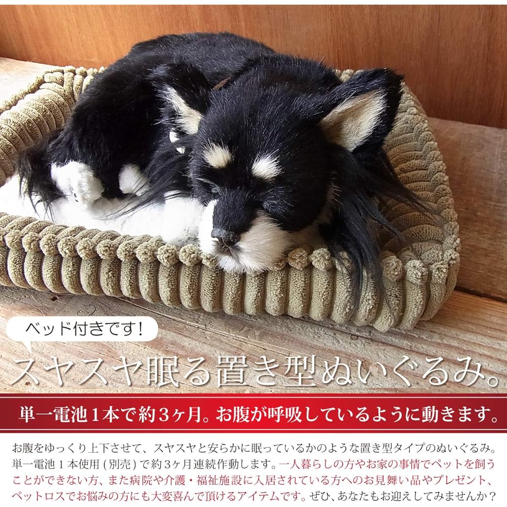 Nini and Kino Perfect Pet (Small Size) Chihuahua Long (Black Tan) Stuffed Toy Dog Dog Realistic Just Like the Real Miscellaneous Goods Animal Healing Moving Present Gift Celebration Cute Dog Stuffed Toy