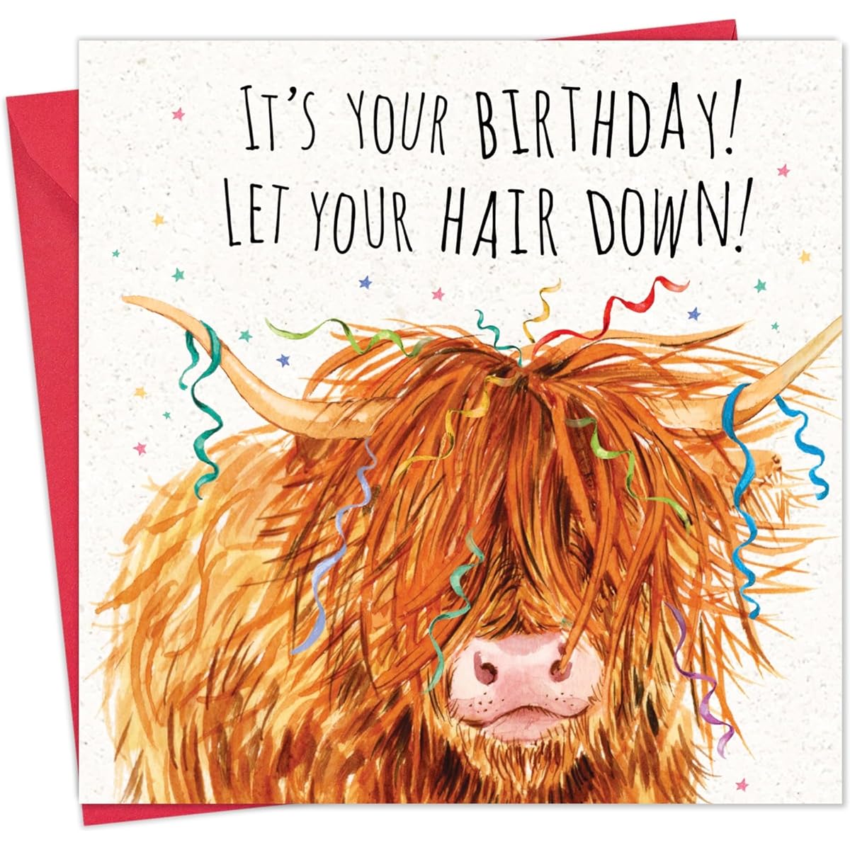 Twizler Funny Birthday Card Scottish Highland Cow - Funny Card for Men or Women - Happy Birthday for Him or Her - Animal Humor - Blank Inside