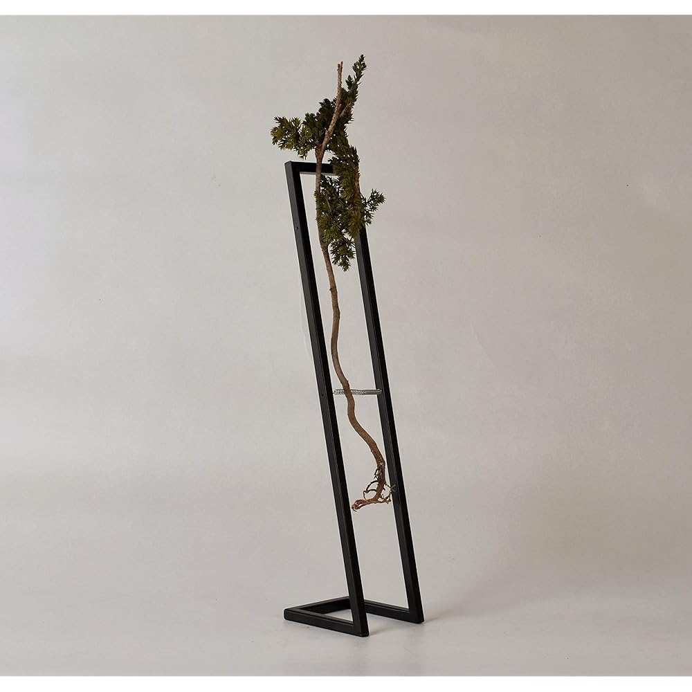 World Dry Bonsai Association General Incorporated Association Bonsai, Dry Bonsai, Dry Bonsai, DRY BONSAI Dry Bonsai/Iron Frame Decoration 4582522520236 Interior Object Gift Green Body: Depth 14cm Body: Height 35cm Body: Width 14cm