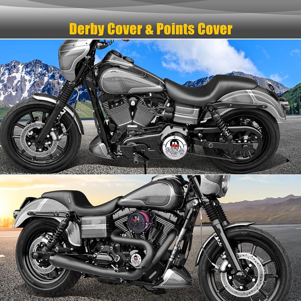 Harley Softail Derby Cover Sresk 3D Skull 5 Hole Derby Timer Engine Timing Cover Point Cover for Harley 1999-2014 Big Twin Cam EVO Touring Road King Electra Glide FLHR FLHX FXST Dyna (Chrome R)