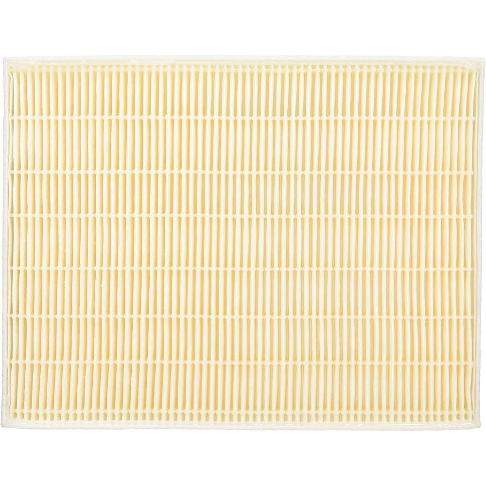 Panasonic Replacement Microparticle Filter FY-FDD2519AC