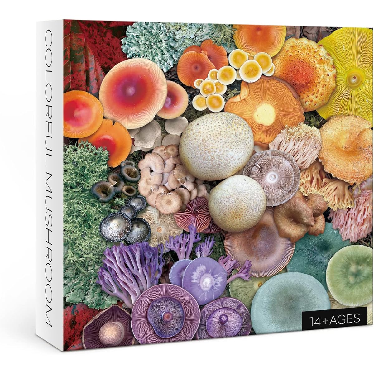 Mushroom Puzzle 1000 Piece Puzzle for Adults Colorful Mushroom Jigsaw Puzzle Blooming Cypress Tree Nature Wildlife Puzzle Rainbow Fungi Puzzle