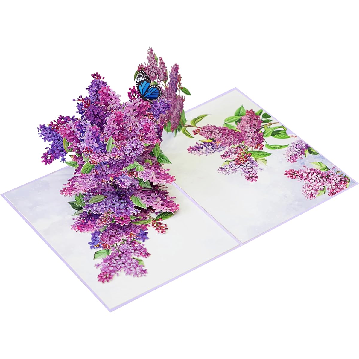 PQ Bees Pop Up Birthday Card, 3D Mother's Day Pop Up Birthday Anniversary Get Well Soon Thank You Valentine's Day Card (Size 6 x 8 Inch - Lilac Blossom Butterfly).