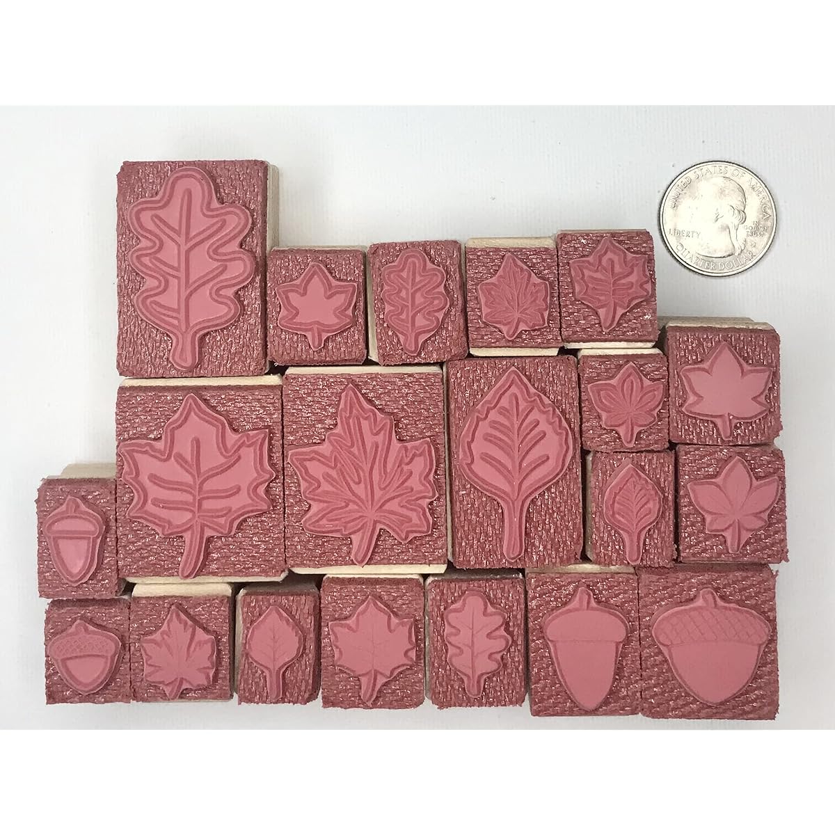 Leaves and acorns rubber stamp Fall rubber stamp