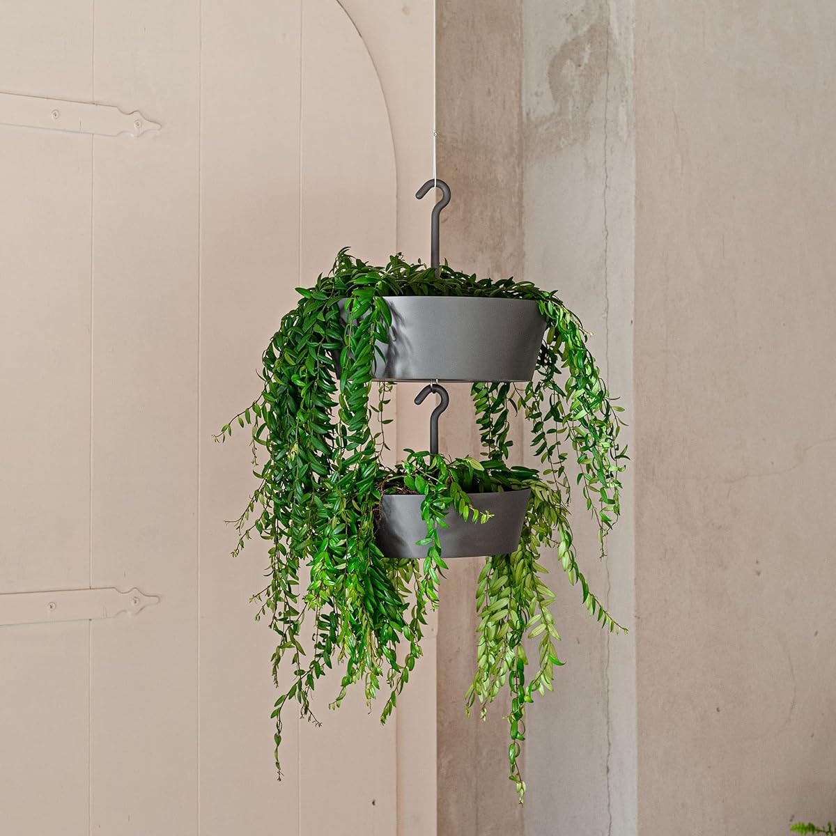 Sunny Plant & Christmas Tree Stand (Round, Medium, 2 Pack, Anthracite)