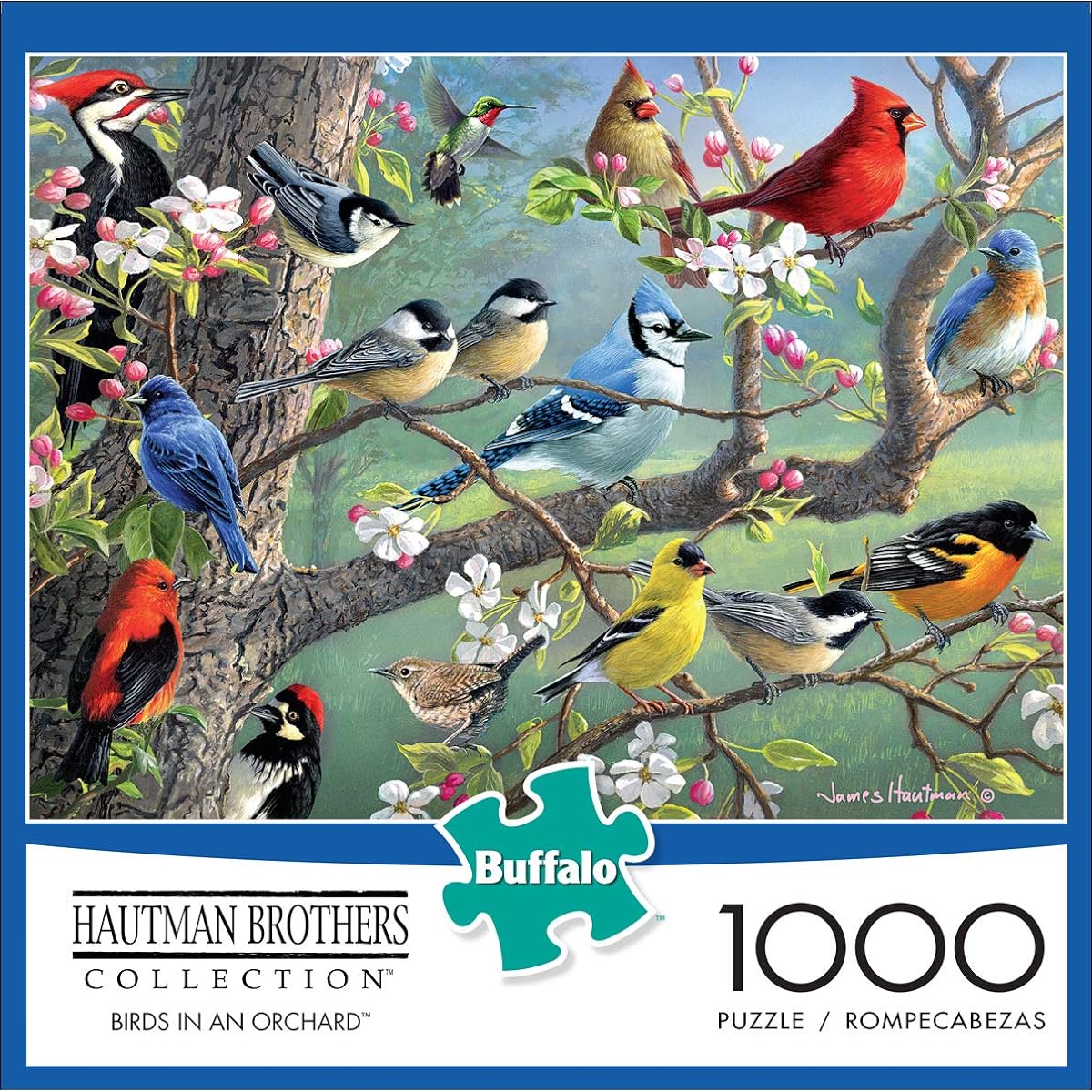 Buffalo Games - Hautman Brothers - Birds in the Orchard - 1000 Piece Jigsaw Puzzle
