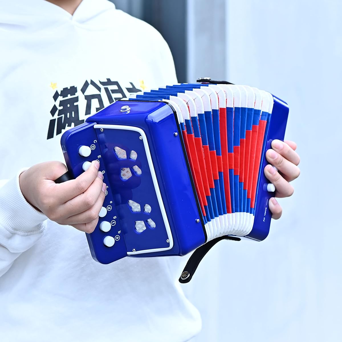 Kids Accordion 10 Key Button Accordian Musical Instrument Mini Accordion Gift for Beginners (Blue)