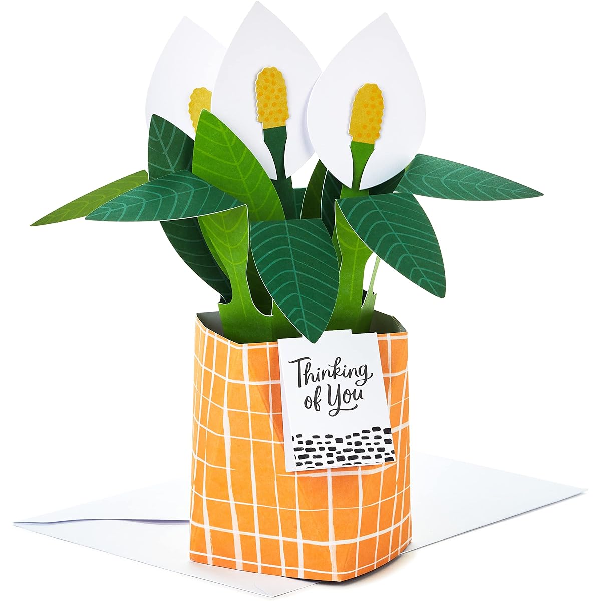 Hallmark Paper Wonder Thinking of You, Encouraging Pop-Up Card (Potted Peace Lily)