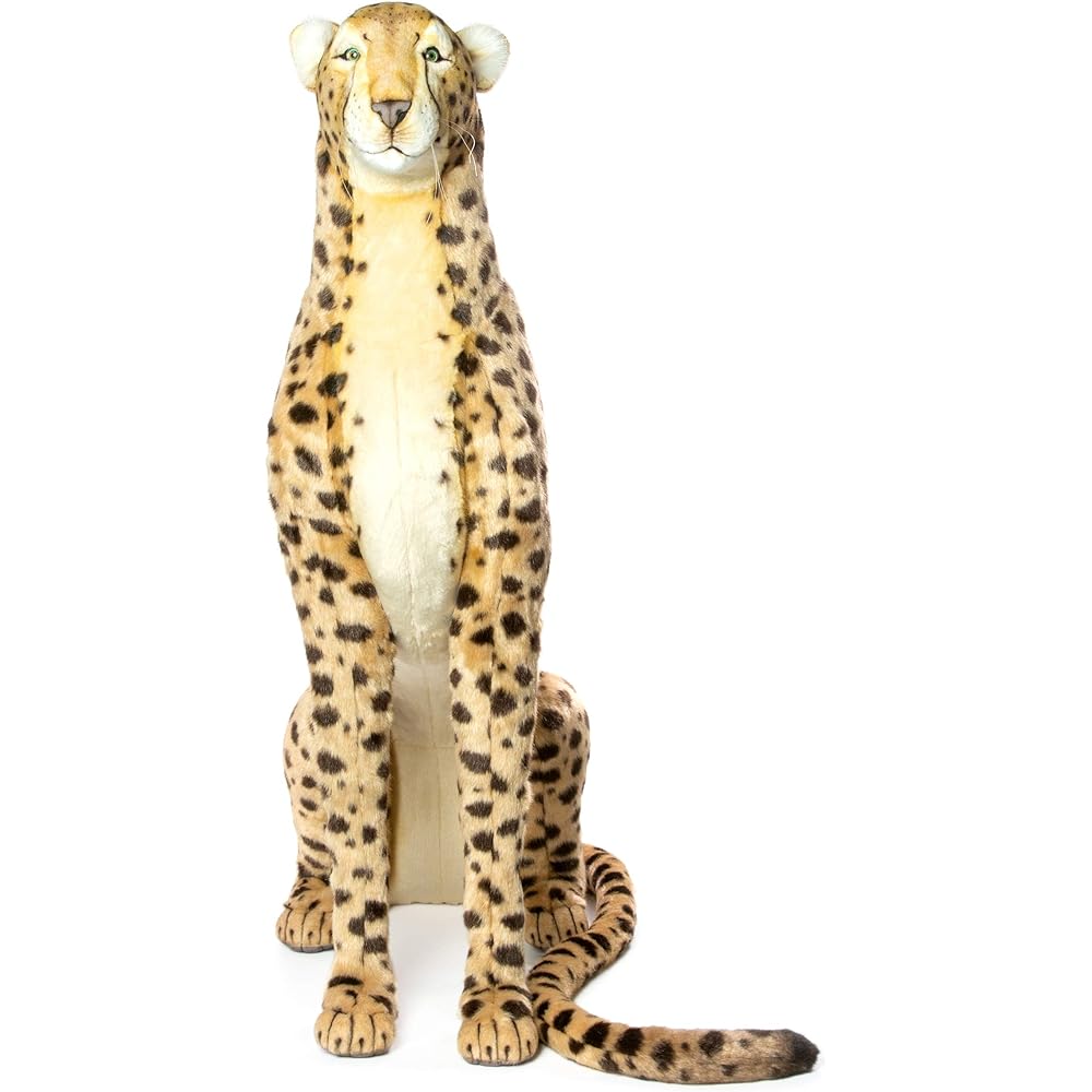 BH6543 HANSA Cheetah 110