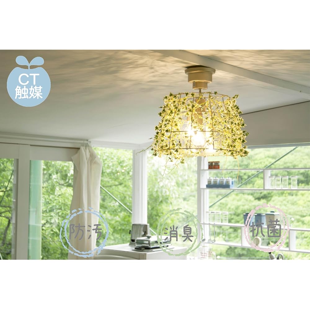 Kishima Botanic [CT Catalyst] Ceiling Light 3 Lights Ivy CC-40350