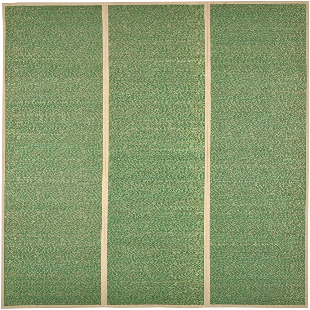 Hagiwara Igusa Green Approx. 180 x 240cm Igusa Center Rug Backing "Shine" 81938721