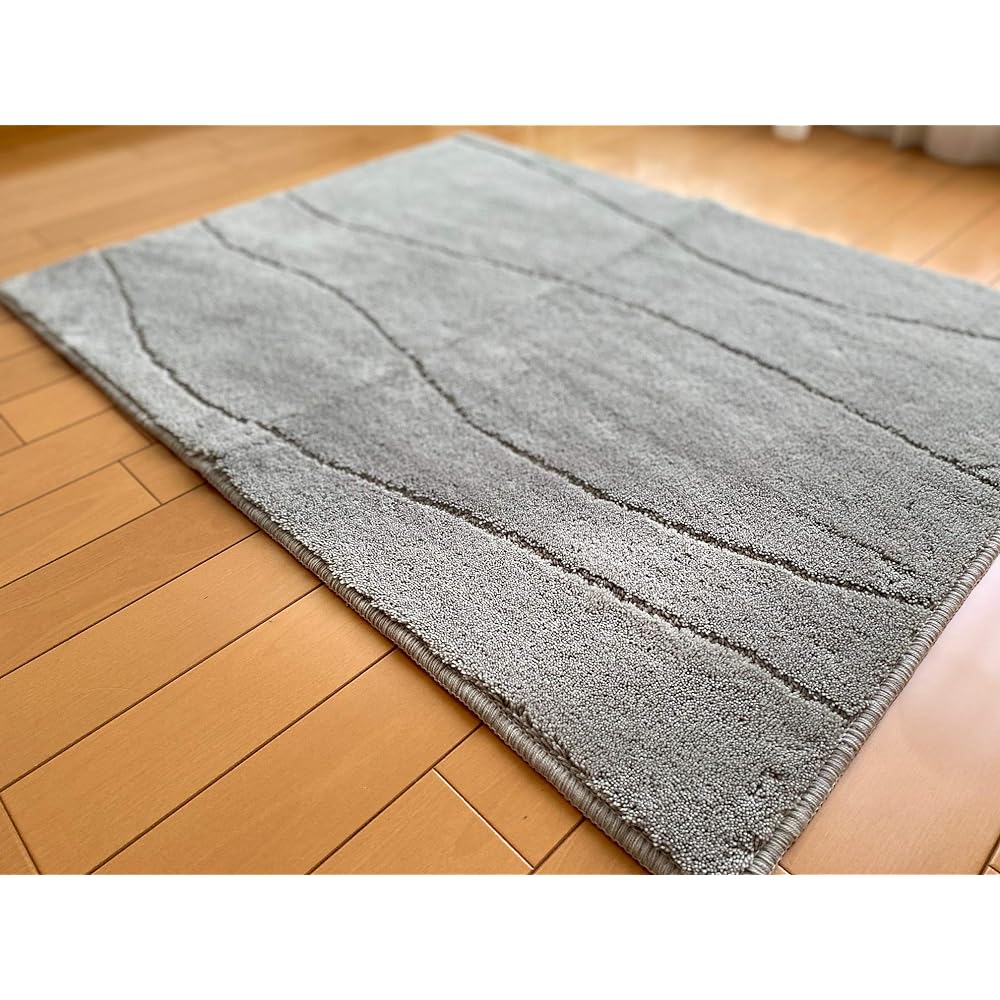 High density, fluffy, extra large, antibacterial, deodorizing, washable, functional, simple, entrance mat, bath mat, extra large (cool gray, 90x120)