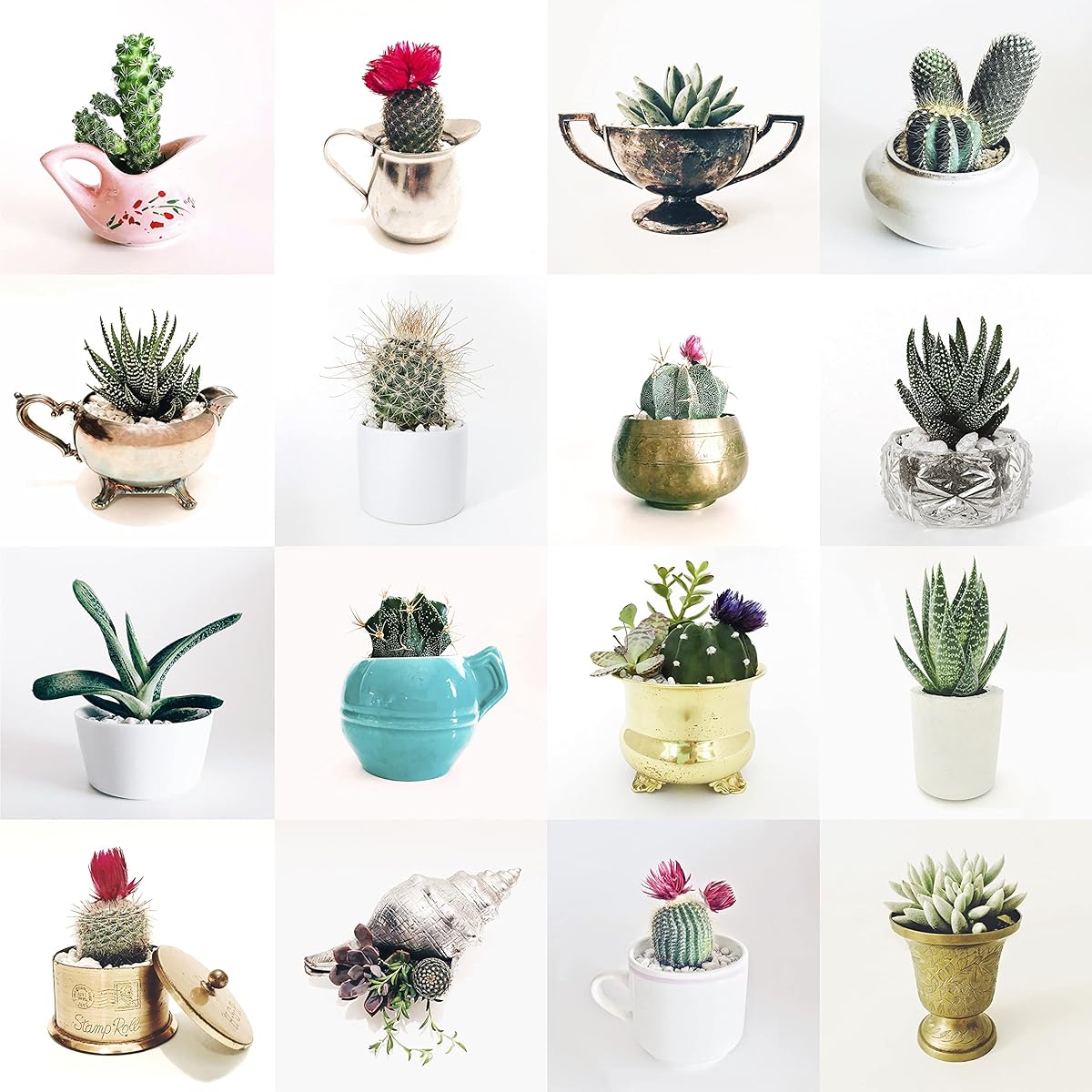 I Go to (250) Piece Wooden Puzzle: 16 Succulents in Pass-Iton Pouch