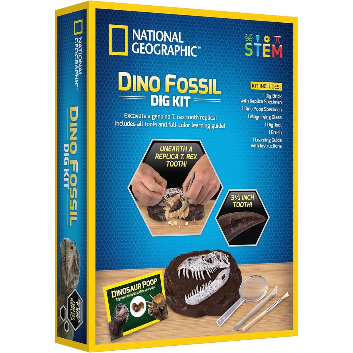 Dinosaur Dig Kit