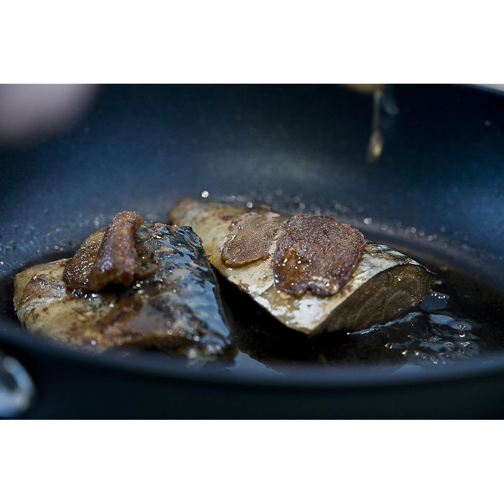 Kyoto Katsugu Aluminum Cast Deep Frying Pan 22cm Made in Japan For Gas Fire Only 4580047177096 Matte Black