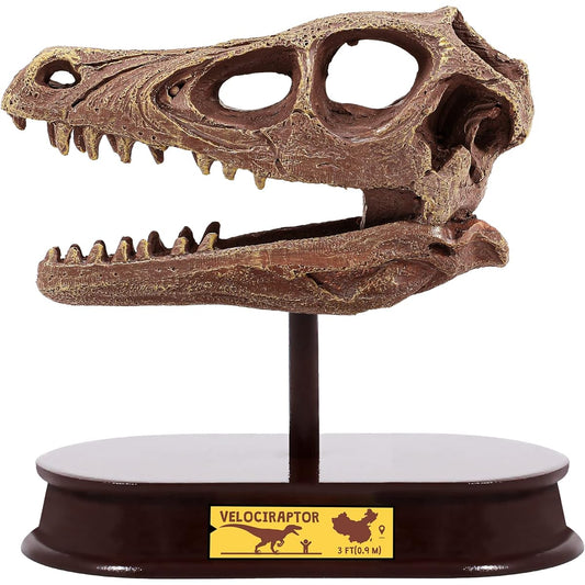 ArtCreativity Dinosaur Excavation Kit Velociraptor