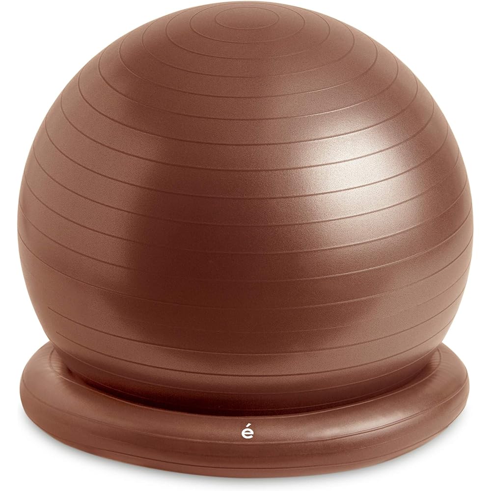 Sakurai Boeki SAKURAI Erugam Balance Ball Good for Waist 55cm Present Stability Ring with Pump #54145