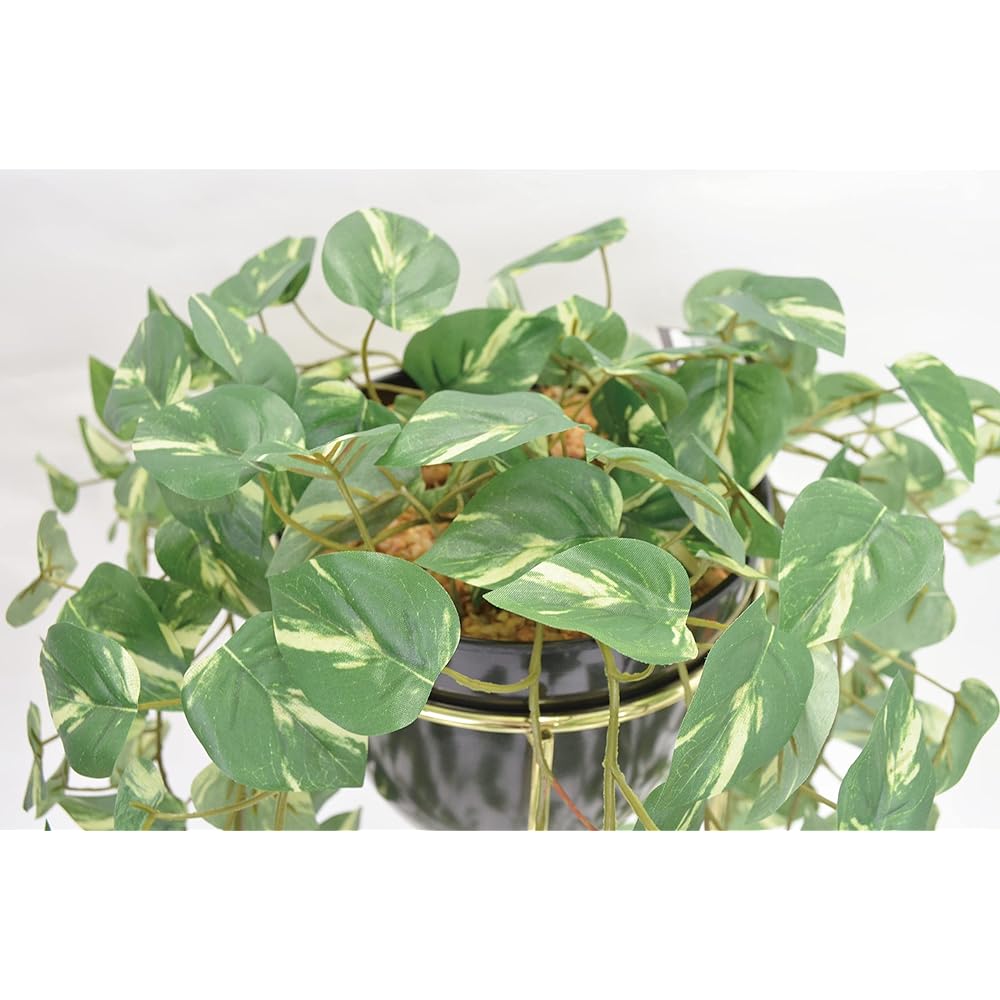 bcl fake green stand pot 60cm pothos