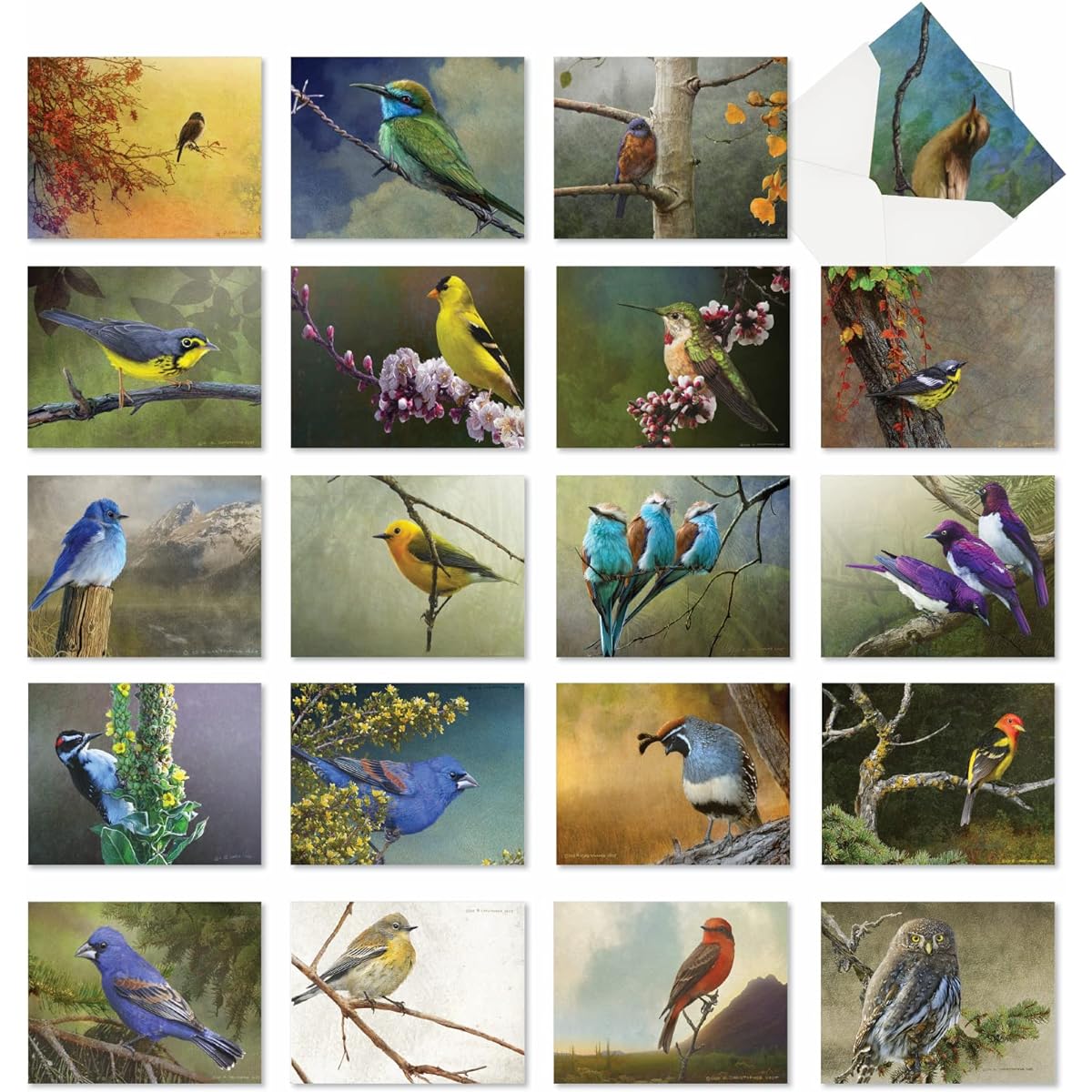 The Best Card Company Birds and Branches - Box of 20 All Occasion Note Cards with Envelopes (4.5 x 4.5 inches) - AM2822OCB-B1x20