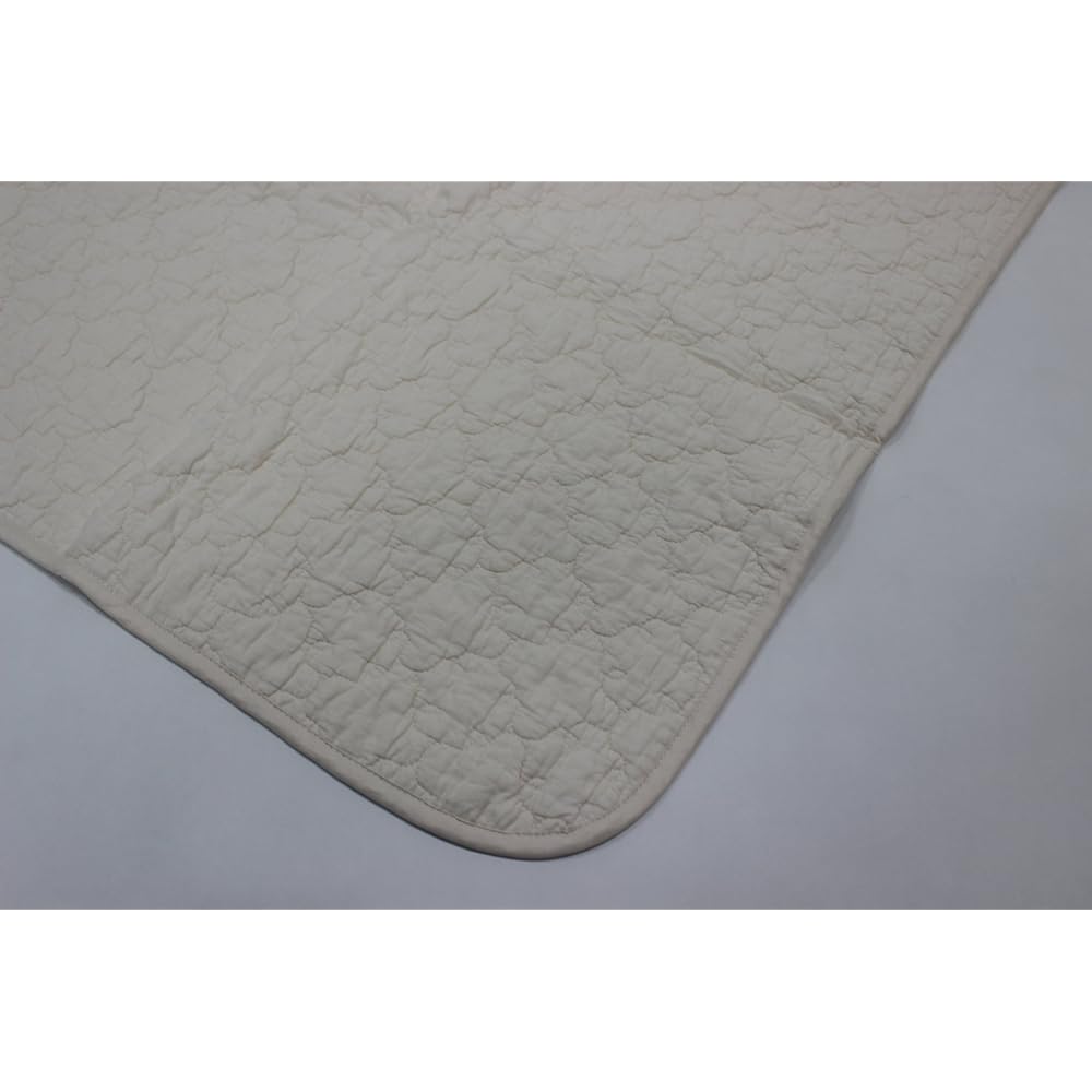 nishikawa [Nishikawa] Pad Gallery Washing Pad CP-048 Queen Ivory 2073-04833