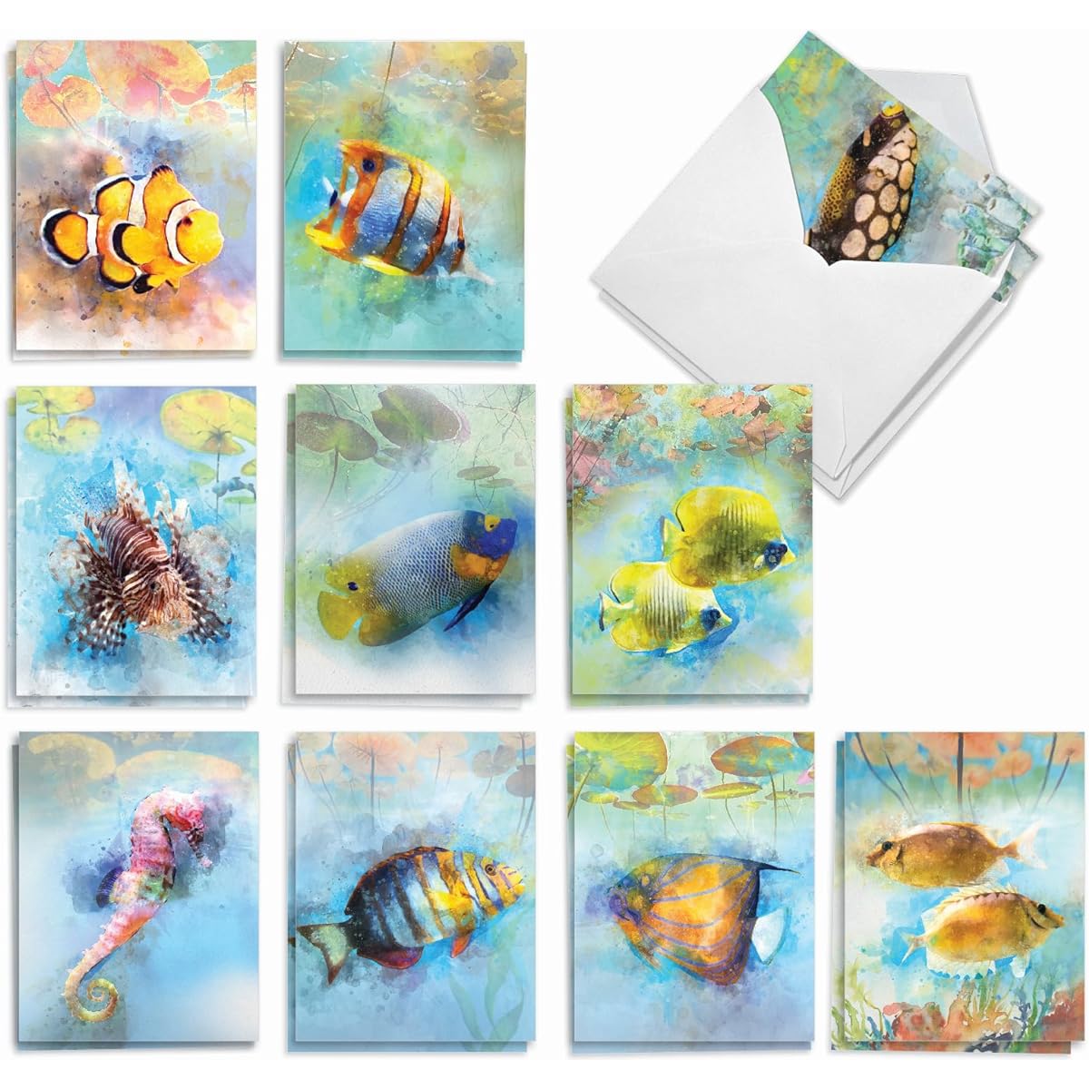 The Best Card Company Underwater Colors - Assorted Box of 20 All Occasion Note Cards with Envelopes (4 x 5.12 inches) - Painted Fish AM7176OCB-B2x10