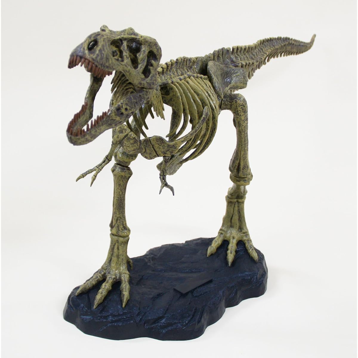 T-REX Skeleton Assembly Kit (Medium) Tyrannosaurus Rex