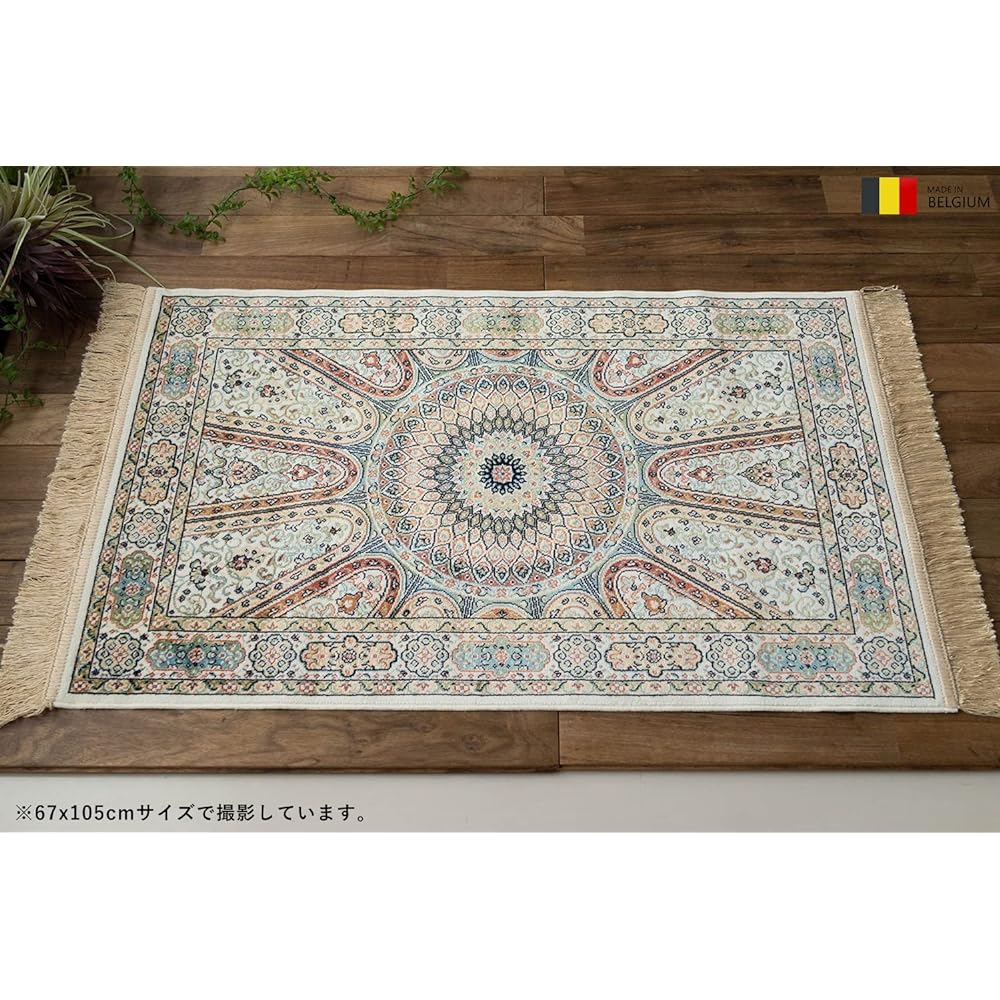 Sayan Sayan Persian Entrance Indoor Mat Royal Palace 14514 60х85 Beige Belgium