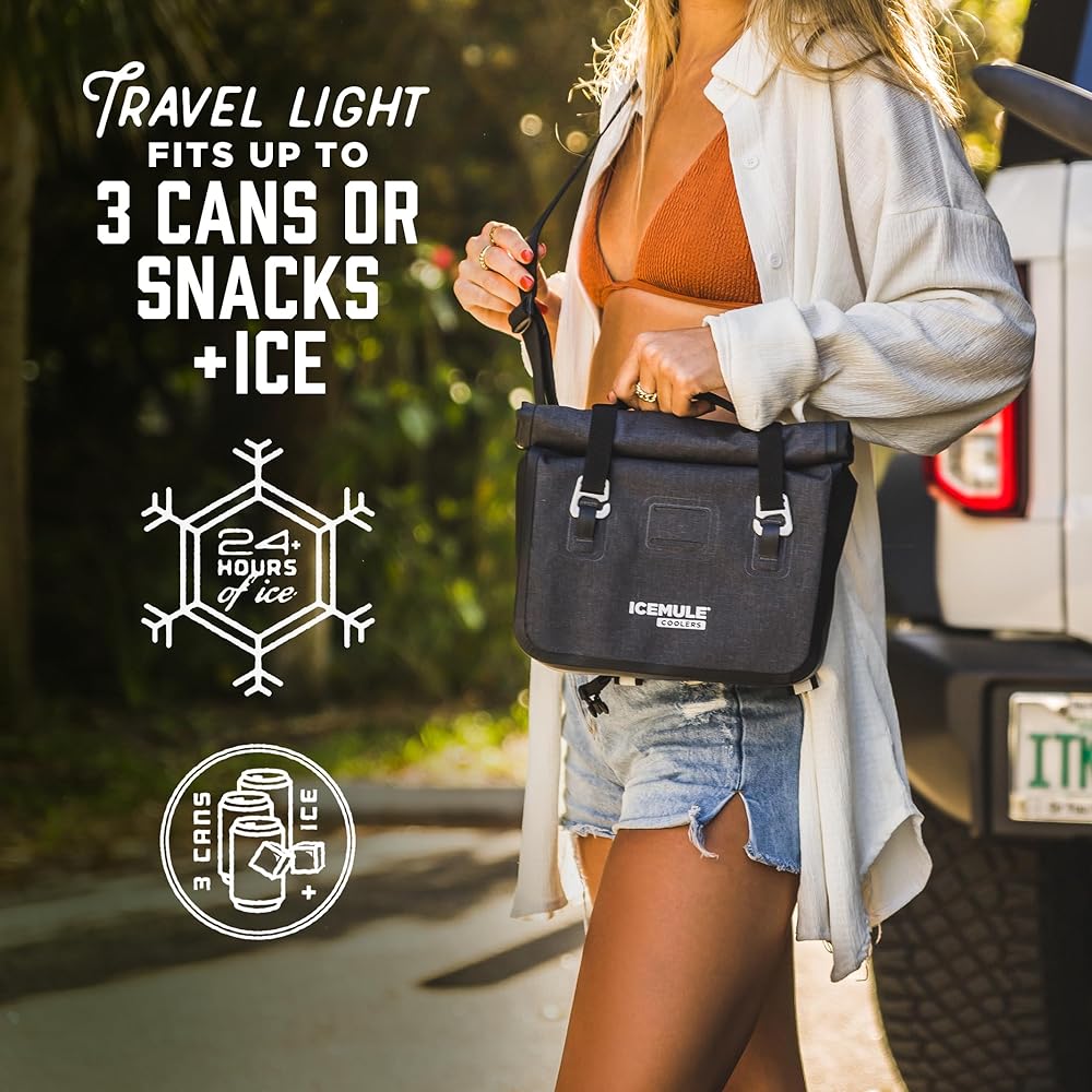 ICEMULE Outdoor Camping Cooling Bag Impulse Devo Design 3 4.5L [Genuine Japanese Product] 59454