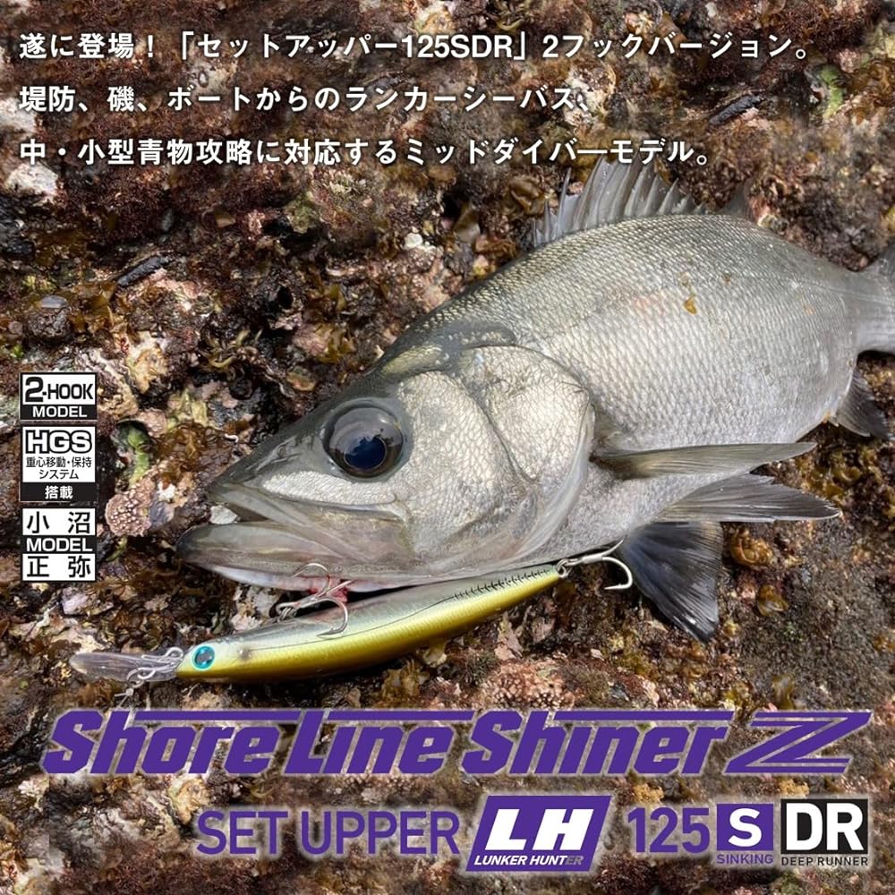DAIWA Shoreline Shiner Z Set Upper LH 125SDR Lure