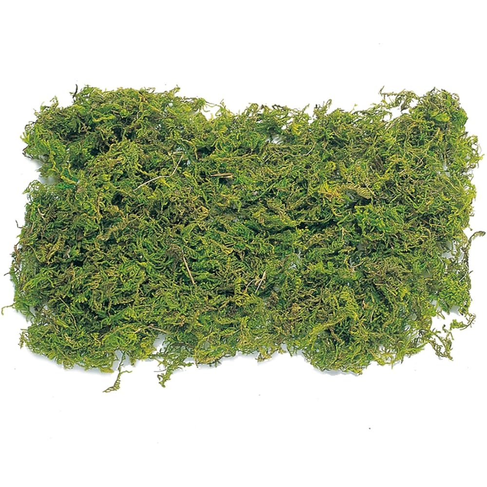 Daichi Farm Natural Materials Mountain Moss/Large Bag (1kg) Green DO61171-700