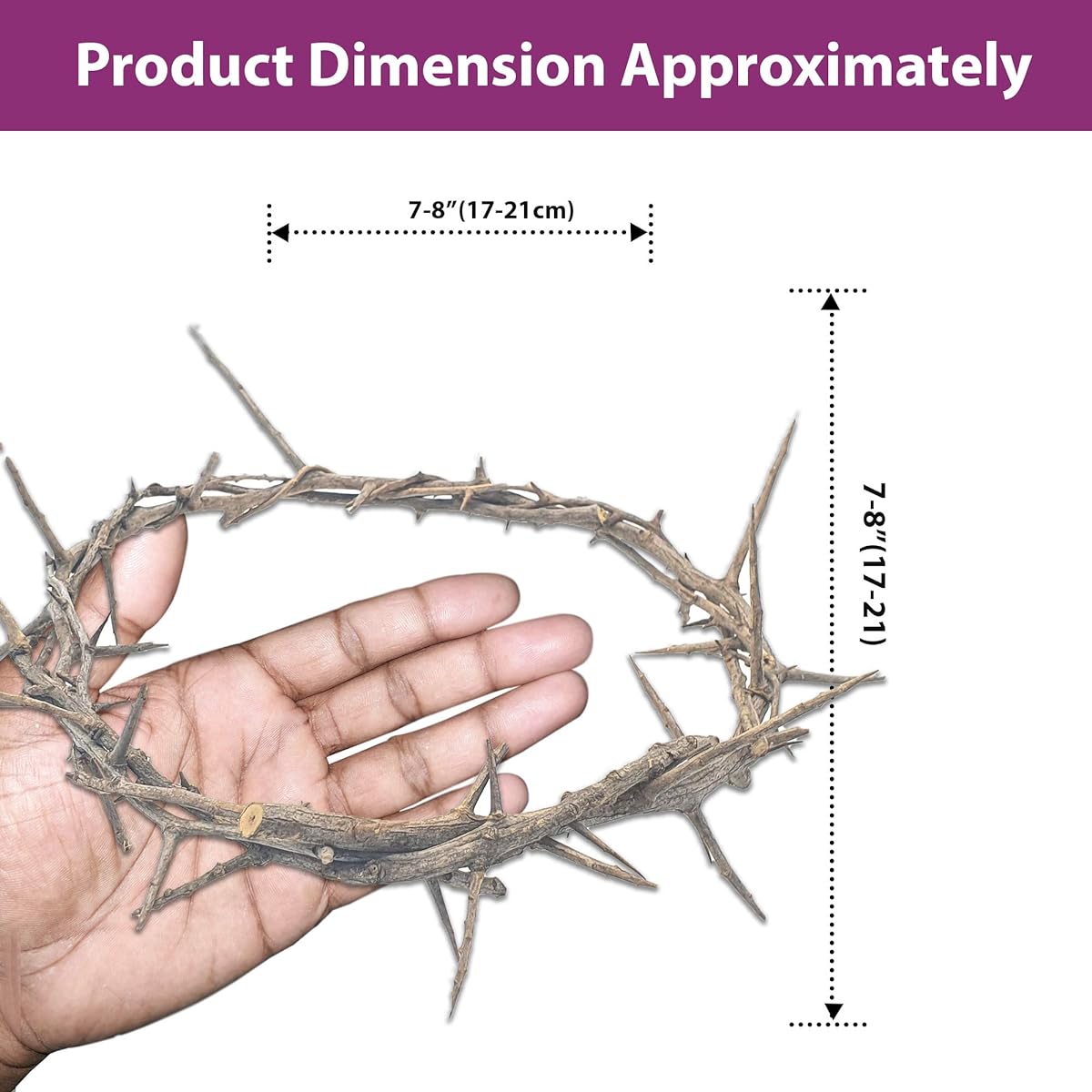 Jerusalem Authentic Bible Life Size Authentic Crown of Thorns with Box & Zulf Certificate | Religious Easter Wreath Home Decoration Tree Topper | Jesus Christ Wall Decor Christmas Christian Gift | HLG214