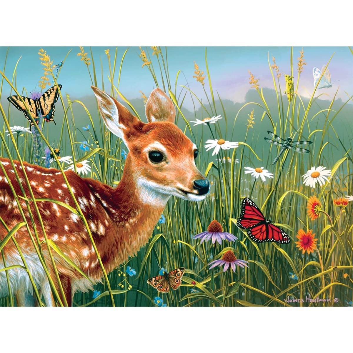 Buffalo Games - Hautman Brothers - Springtime Folly - 1000 Piece Jigsaw Puzzle