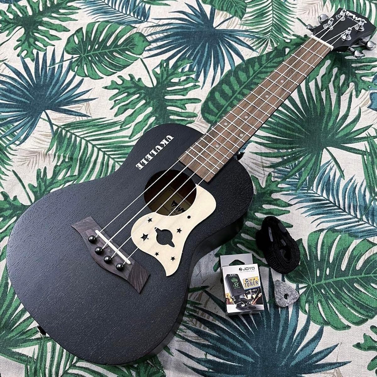 BWS ukulele, mahogany, electric concert ukulele, beginner's set