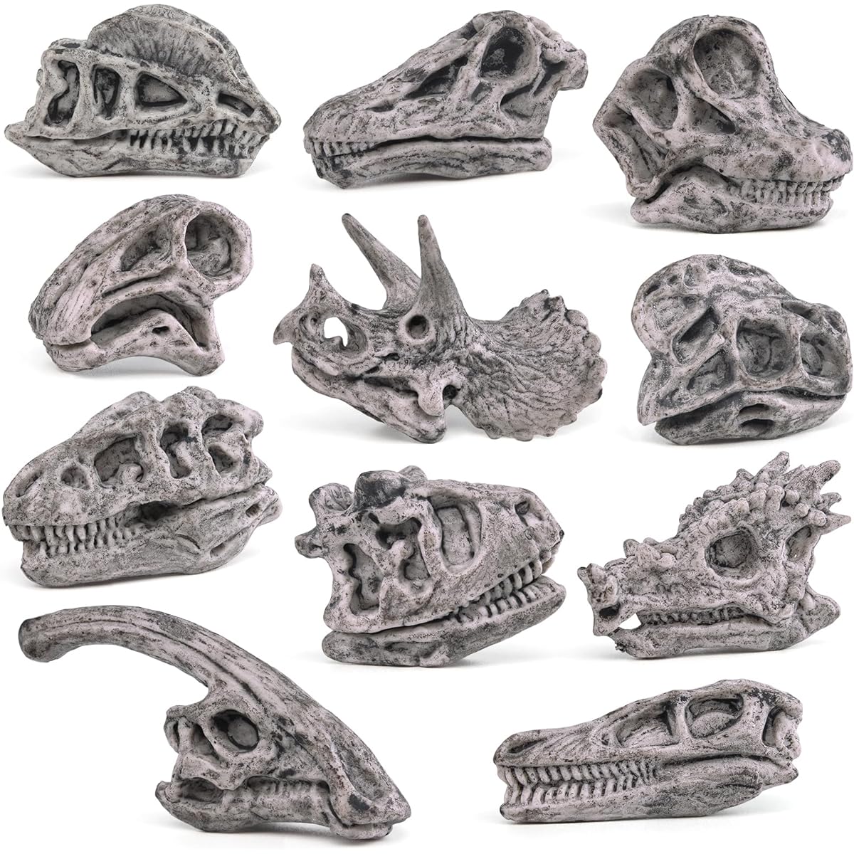 Fantarea Ancient Animals Dinosaur Head Skeleton Fossil Bone Combination Playset 11 Pieces Action Figure Model Toys for Kids