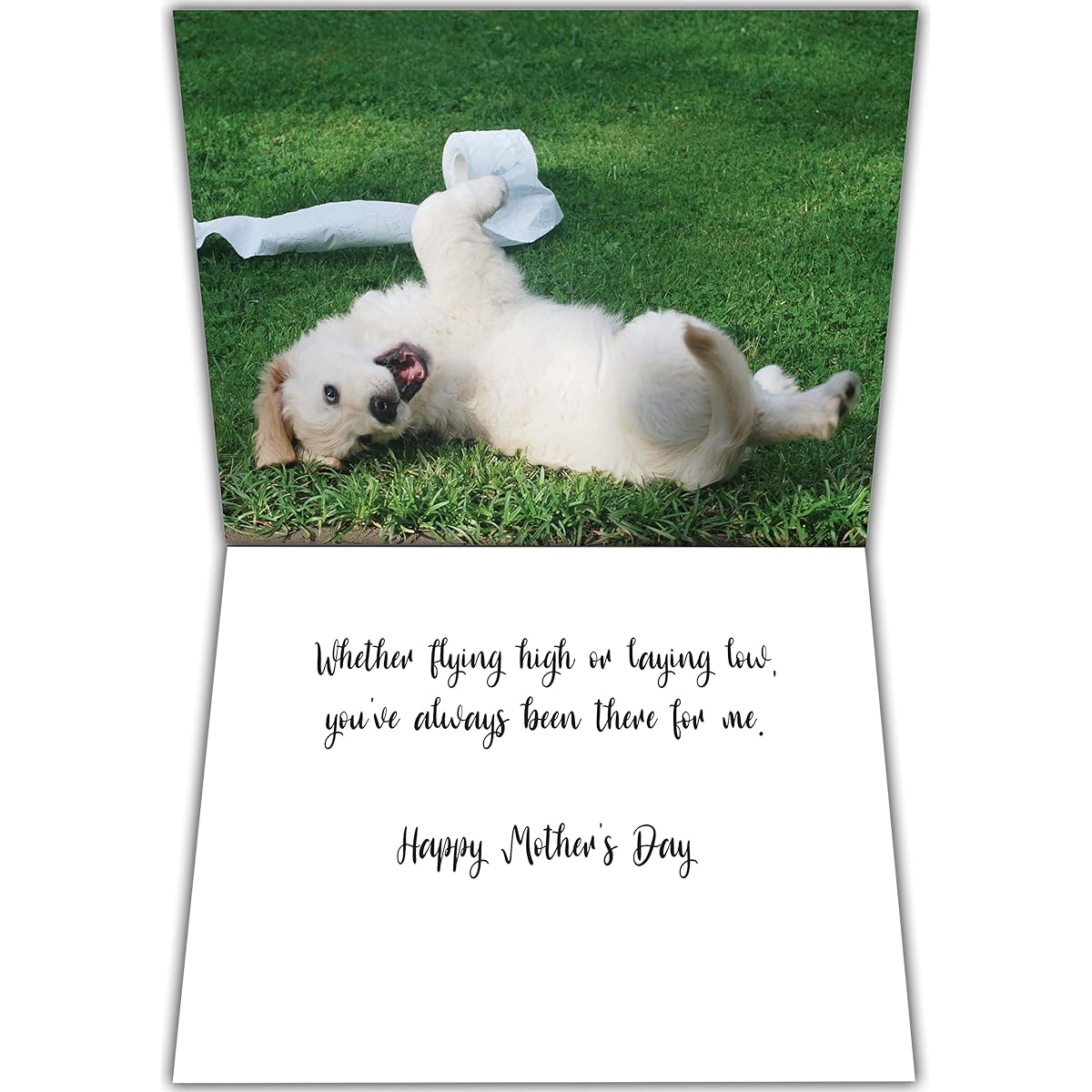 Glory To Dog So Lucky To Have You As My Mother Mother's Day Greeting Card