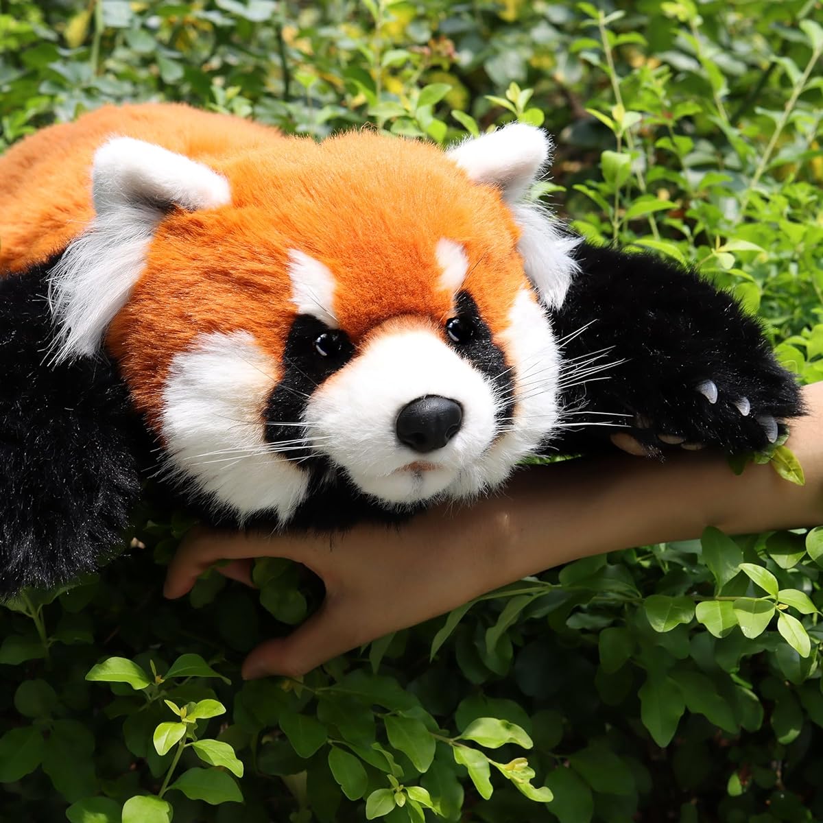 Chongker Red Panda Weighted Stuffed Animal Handmade Realistic Red Panda Stuffed Toy 2.5 lbs Companion Gift for Women, Adults, Kids, Animal Lovers