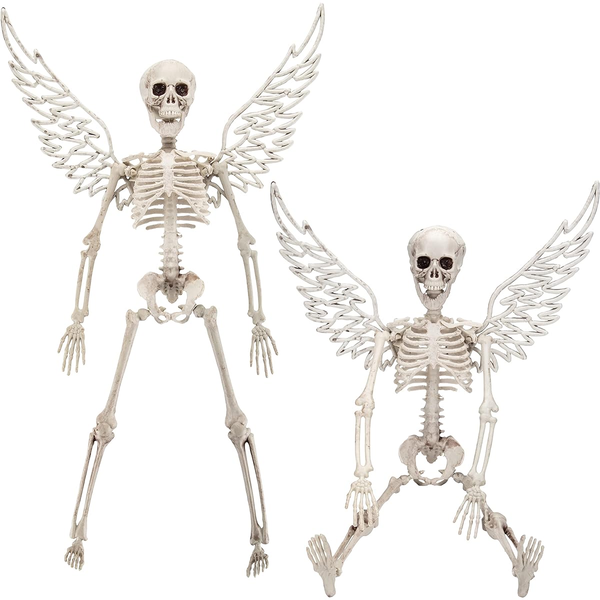 SCS Direct Angel Halloween Skeletons (2 Pack) - 16" Long - Weatherproof Decorations - For Haunted House Parties, Indoor/Outdoor, School Classrooms