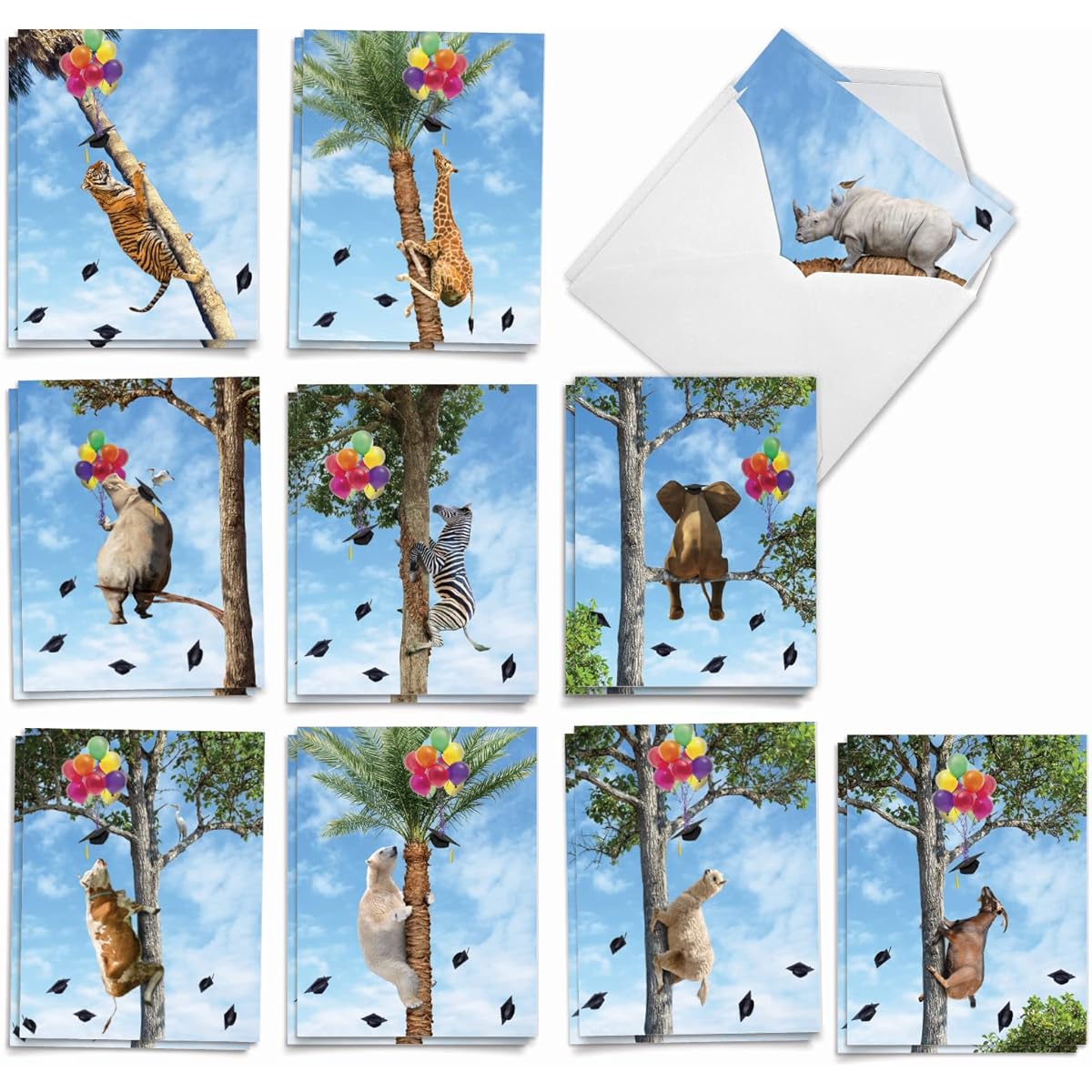The Best Card Company 20 Graduation Note Cards Assorted Box Set (Graduates) 4 x 5.12 inches with Envelopes (10 Designs, 2 of Each) Wooden Animals AM10323GDG-B2x10