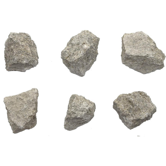 6 Biocide Limestone, Sedimentary Rock Specimens - Approximately 1 Inch - Geologist Selected & Handcrafted - Great for Science Classrooms - Class Pack - Eisco Labs
