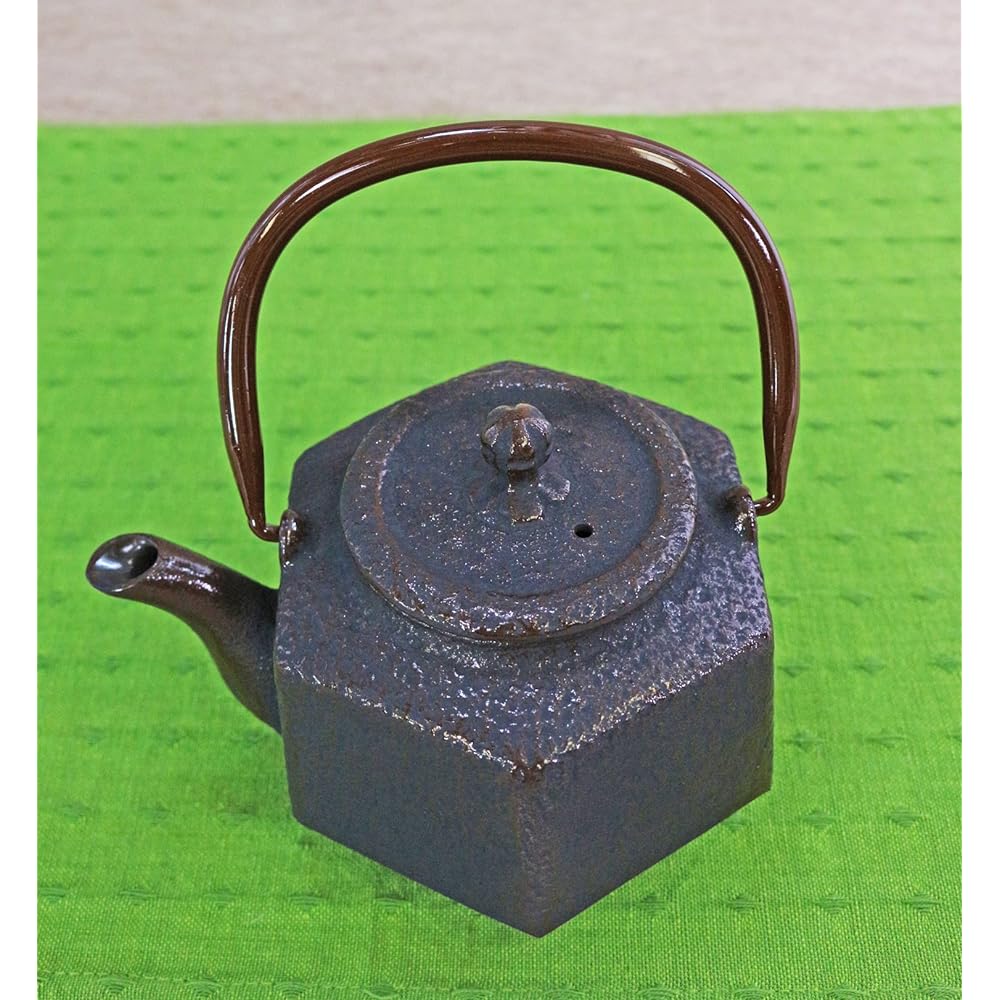 Nanbu Tekki Teapot Rokkaku Rikyu 0.5L (with tea strainer) T-5-16