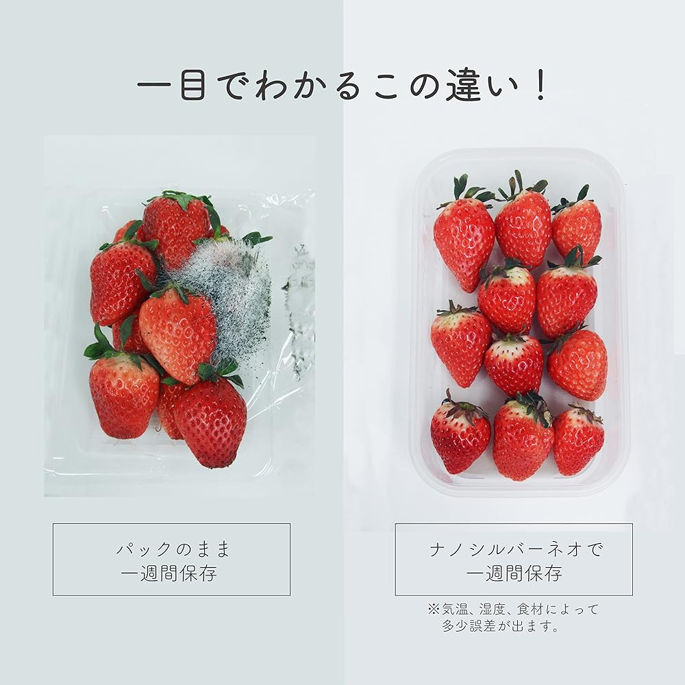 TWINS Storage Container Clear Nano Silver Neo "Protects Food with Antibacterial Sealing" Antibacterial Sealed Containers 10 Piece Set TT2-NNS-10S