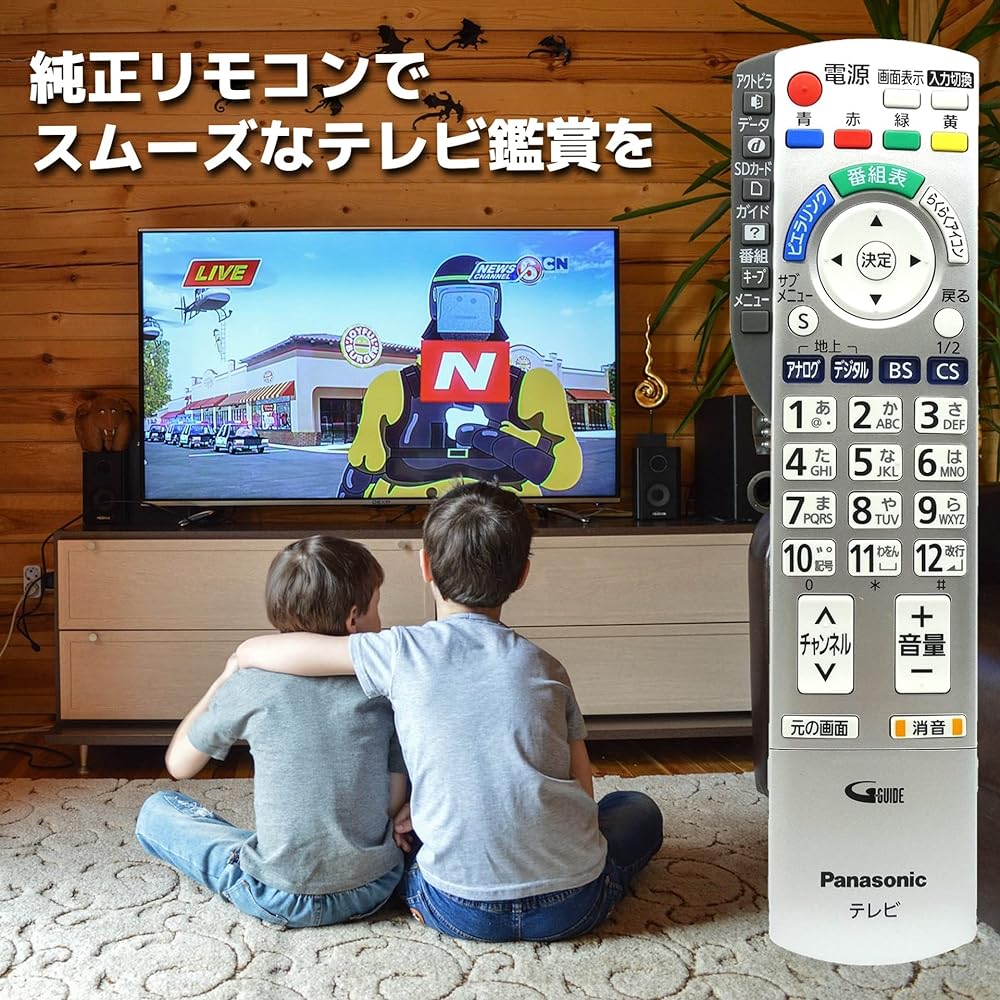 Panasonic TV remote control N2QAYB000324