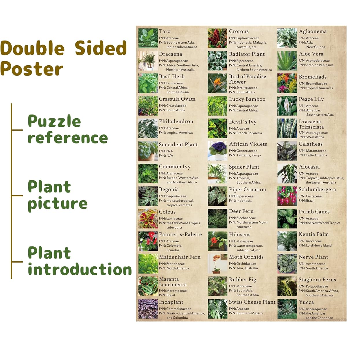 Vintage House Plants Puzzle 1000 Pieces for Adults Botany Succulents Puzzle 39 Common Indoor Plants Jigsaw Puzzle Botanical Gifts (HD)