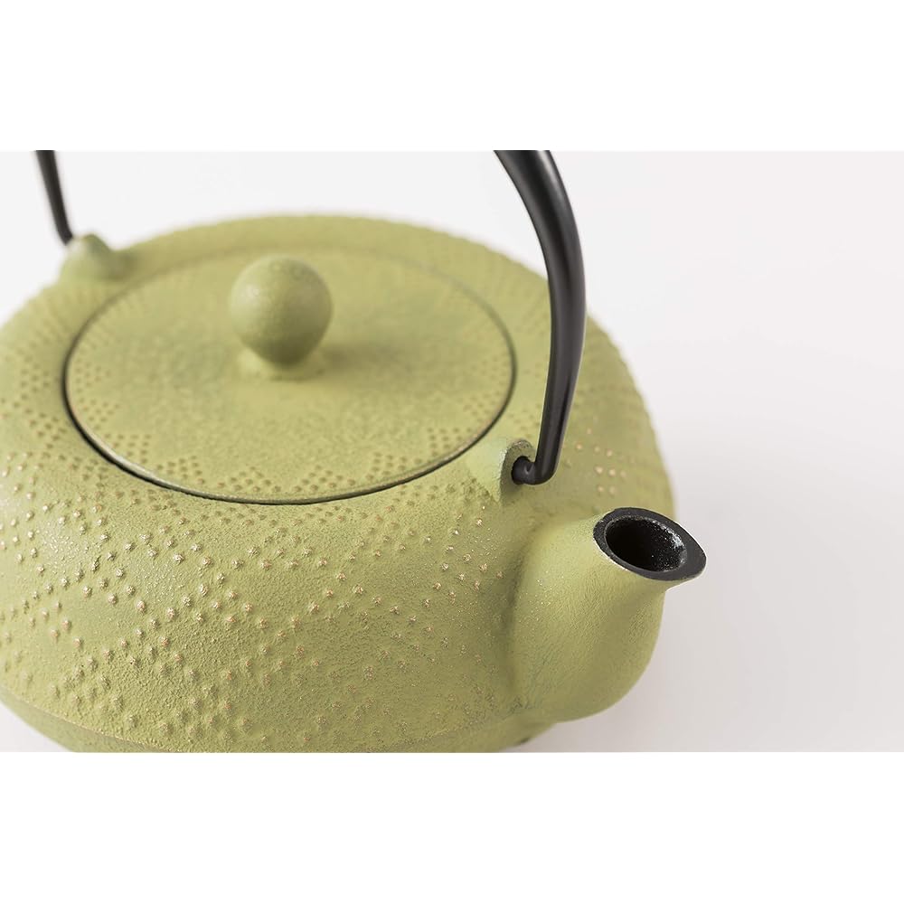 Iwachu Teapot 5 Type Lattice Arale Gold/Wakakusa 0.55L Enamel Inside Nambu Ironware 12462