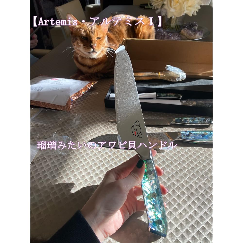 Centra Win Gyuto Knife [Artemis I] Damascus Knife Kitchen Knife Chef Knife Abalone Shell + Resin Handle