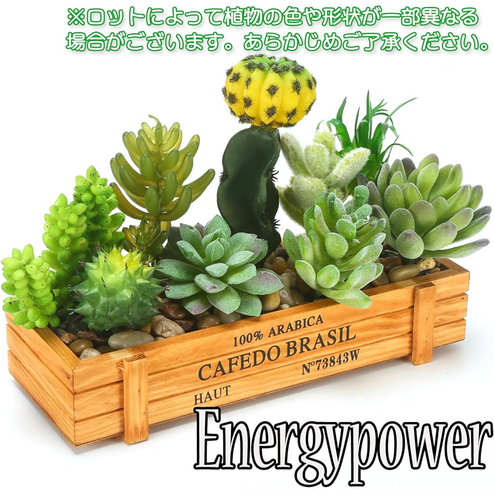 EnergyPower Faux Green, Artificial Succulent Plants & Cactus, 9 Types of Planting, Stylish Bonsai, No Watering, No Withering, Imitation Green, Photocatalyst, Odor Resistant, Easy Healing Space, Fun
