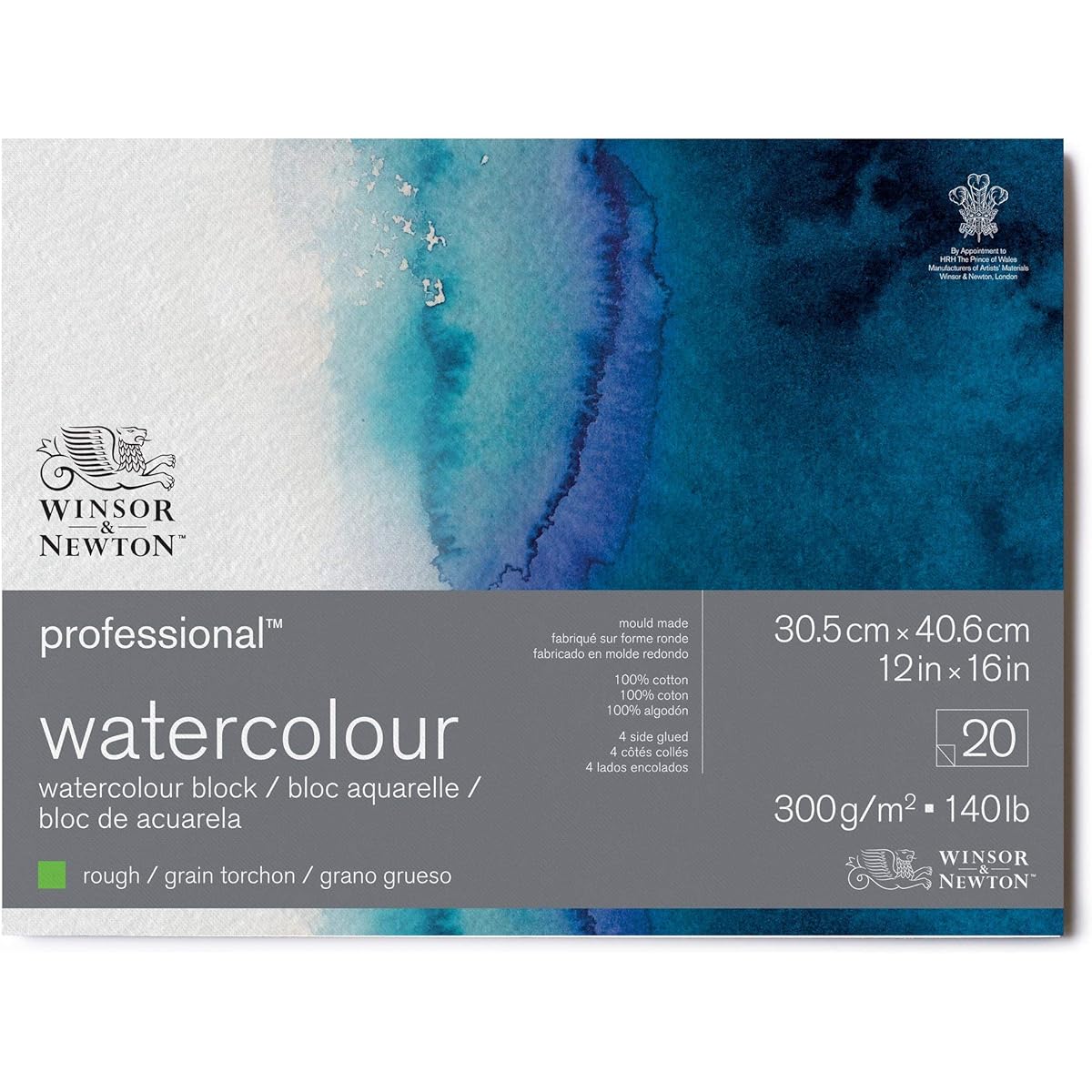Winsor & Newton Professional Watercolor Paper Block, 12" x 16", Rough