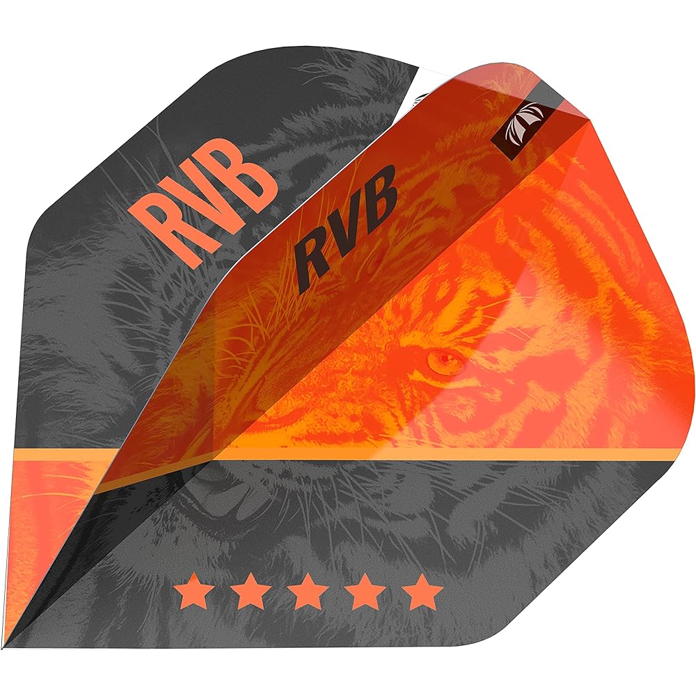 Target Darts Raymond van Barneveld RVB 95 Gen 4 20G 95% Tungsten Soft Tip Dart Set