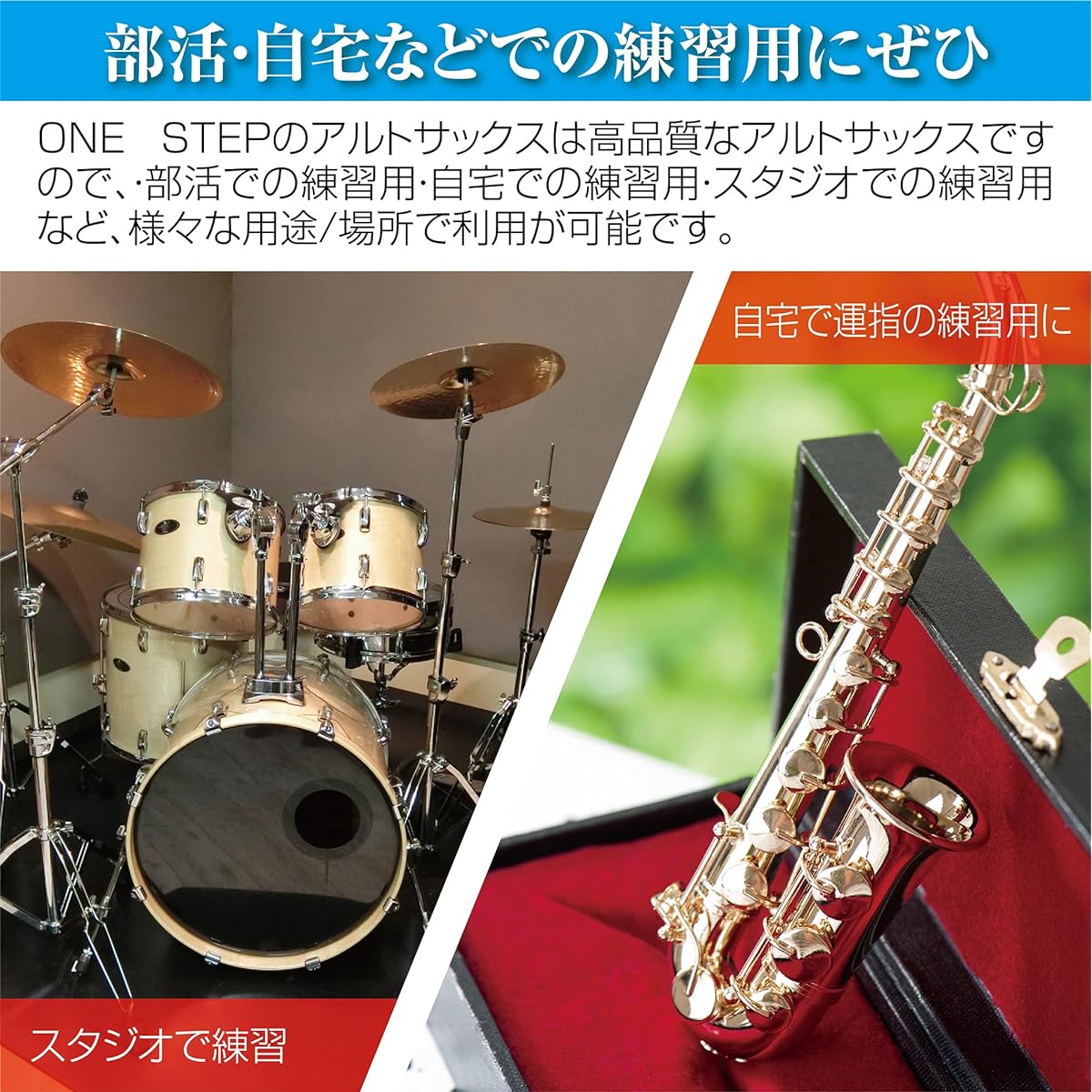 Alto Saxophone 11 Piece Set E Saxophone Gold Lacquer with Case Engraved Beginner Saxophone Introductory Set