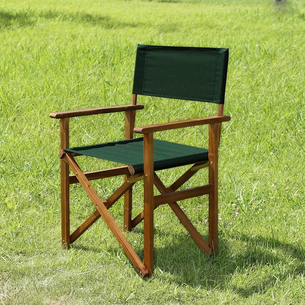 Fuji Boeki director chair green 79497